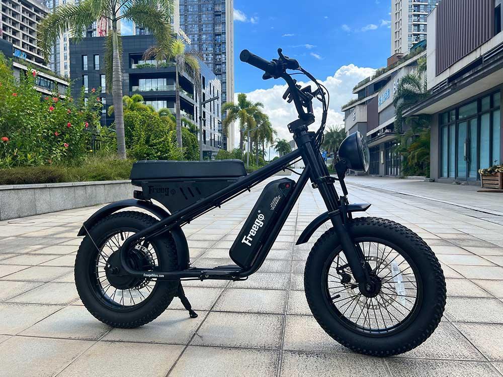Freego Mini Fat Tire Electric Bike