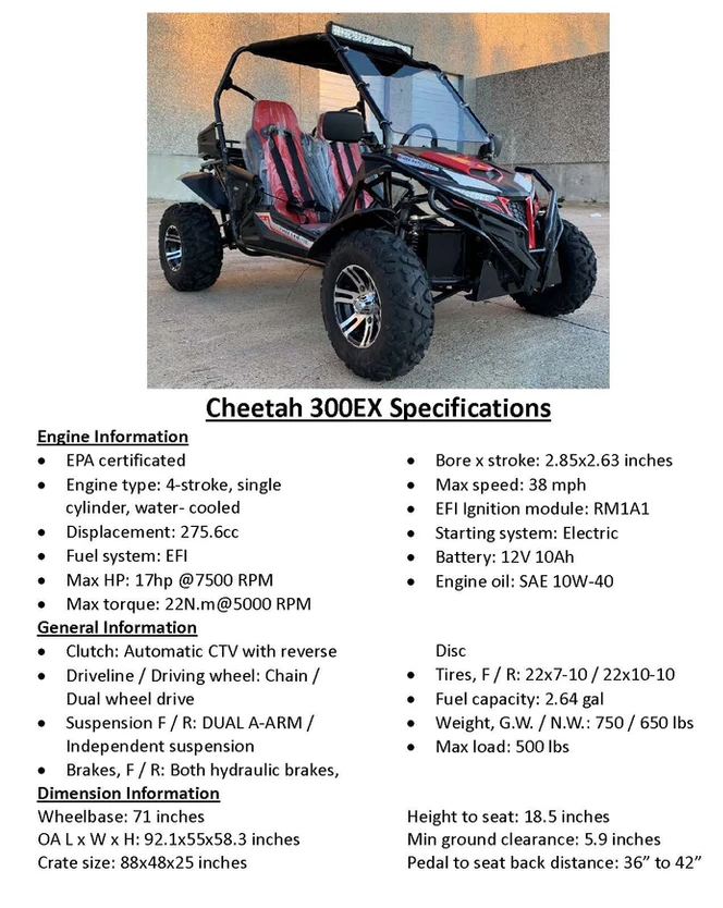 TrailMaster Cheetah 300EX